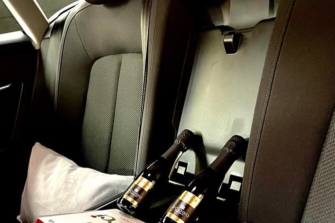 Ljubljana Private Airport Transfers - Additional Information