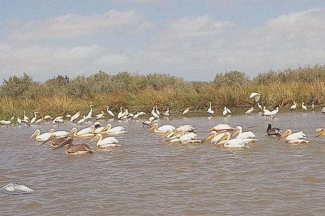 Lompoul Desert With Delta Du Saloum 2 Nights 3 Days Trip. . - Cancellation Policy
