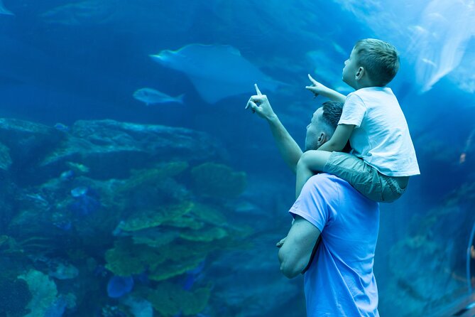 Lost Chamber Aquarium Entry Ticket With Private Transfer in Dubai - Customer Support
