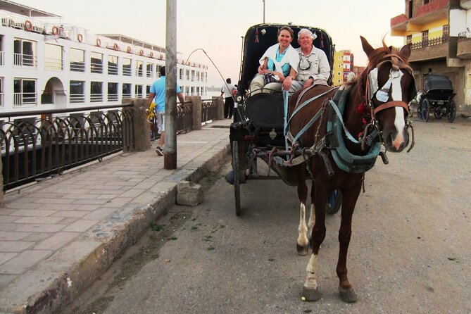 Luxor City Horse Carriage Tour: Dine and Discover - Dining Options & Menu
