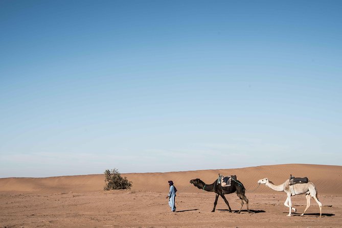 Luxury Majestic Morocco Private 14 Day Tour - Meeting Points