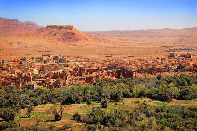 Luxury Morocco: Casablanca to Marrakech via the Desert - 8 Days - Day 8: Marrakech Departure