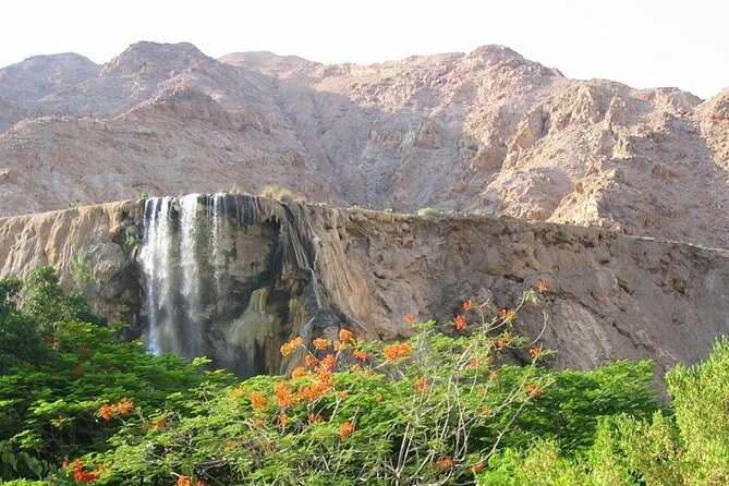 Madaba - Mount Nebo - Main Hot Springs From Amman or Dead Sea - Tour Details