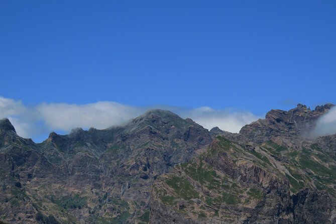 Madeira Sea Cliff and Camara De Lobos 4WD Half Day Tour - Cancellation and Booking Policies
