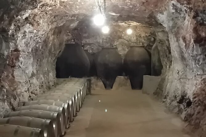Madrid Winery Tasting Tour With Lunch - Booking Information