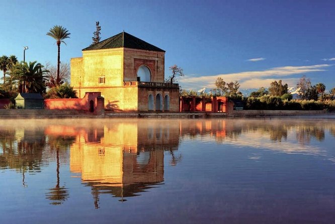 Majorelle and Menara Gardens With Palmeraie Camel Riding Marrakech - Operator Information