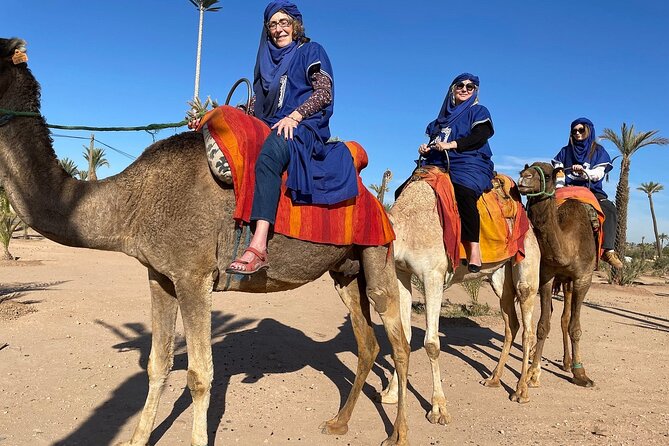 Marrakech Day Trip From Casablanca With Lunch and Camel Ride - The Sum Up and Next Steps