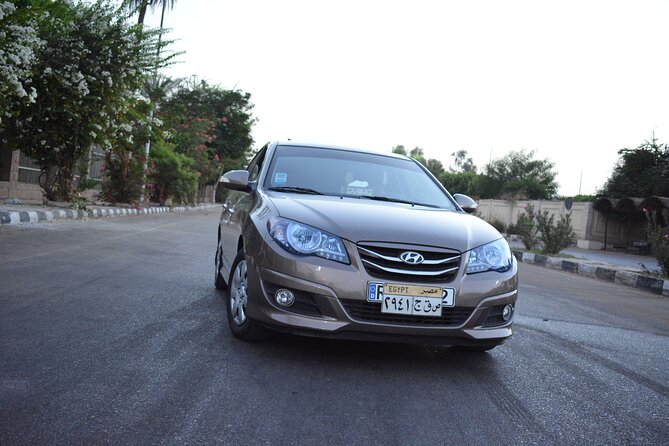 Marsa Alam Hotel to Marsa Alam Airport Private Transfer - Logistics