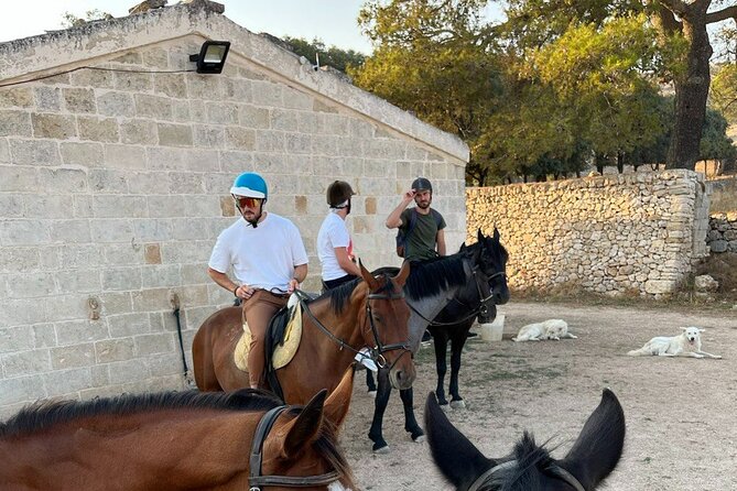 Matera: Sunset Horse Backriding Tour on Murgia Park - Booking Information and Pricing