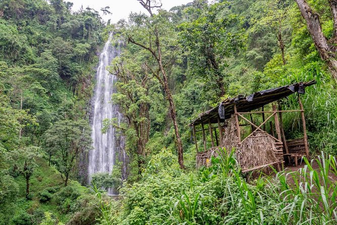 Materuni Village Tour, Waterfalls, Coffee & Culture Excursions - Directions and Transportation