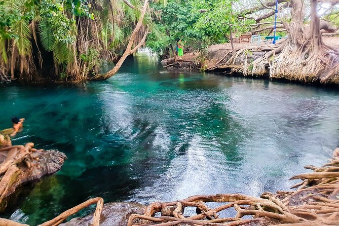 Materuni Waterfalls, Coffee Tour and Hot Springs - Tips and Recommendations