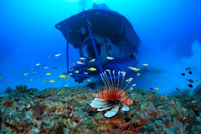 Mauritius Unique Submarine Tour - Meeting and End Points