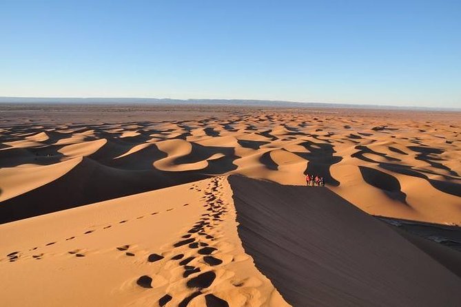 Méhari Trip in the Desert From M'hamid - Reviews
