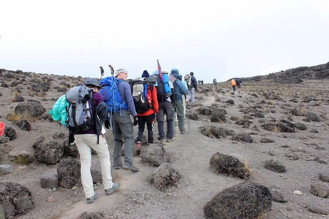Mount Kilimanjaro 7 Days - Machame Route - Altitude Sickness Prevention