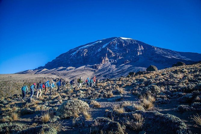 Mount Kilimanjaro Climb, 6 Days Rongai Route - Important Pre-Climb Information