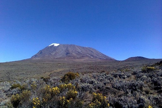 Mount Kilimanjaro Day Hike - Customer Reviews