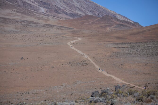 Mount Kilimanjaro Marangu Route 5 Days - Customer Reviews