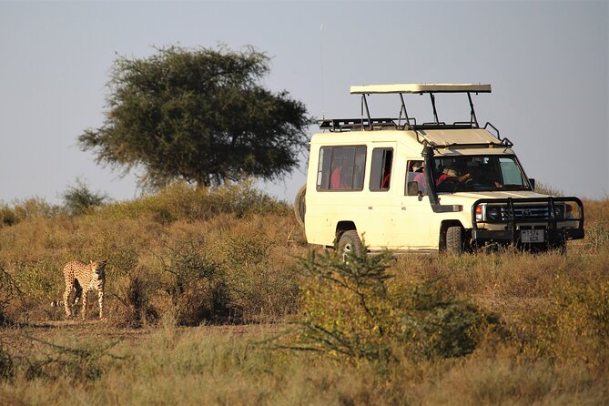 Mpanda Airport Pickup and Drop- off To/From Katavi National Park. - Cost and Booking
