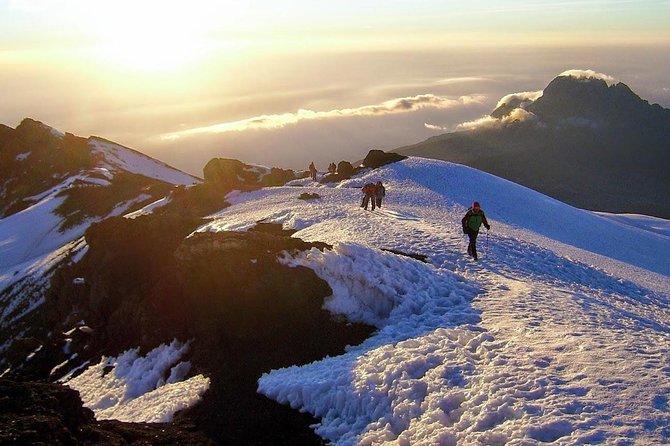 Mt Kilimanjaro Climbing; 7 Days Lemosho Route - Meeting and Pickup Information