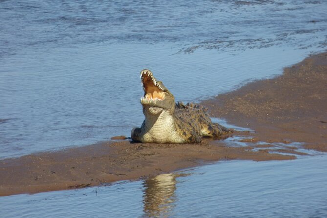Multi-Day Sunset Cruise and Falls Tour in Zambezi River - Booking Policy and Weather