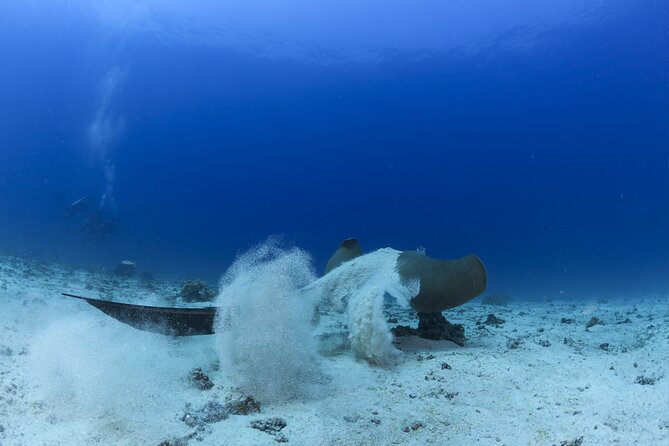 Muscat Scuba Diving Trip to Daymaniyat Islands - Frequently Asked Questions