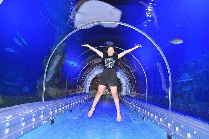 Museum Grand Aquarium From Hurghada - Additional Services
