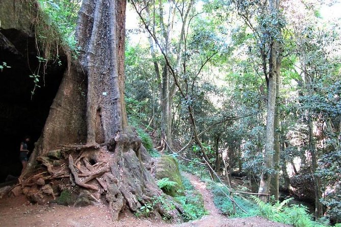 Nairobi Day Tour to Karura Forest Hike, Trail Bike & Nature Walk - Booking Information