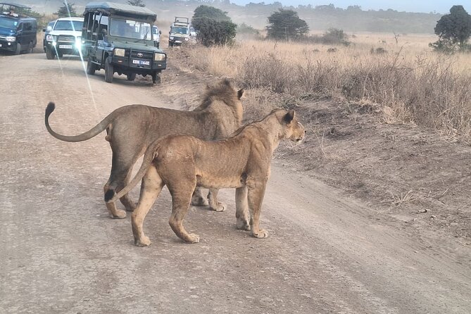 Nairobi National Park and Giraffe Centre Guided Safari Tour - Frequently Asked Questions
