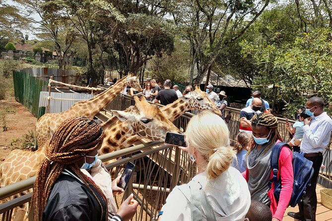 Nairobinational Park, Giraffe Center , Elephant and Blixen Museum - Conservation Efforts and Education