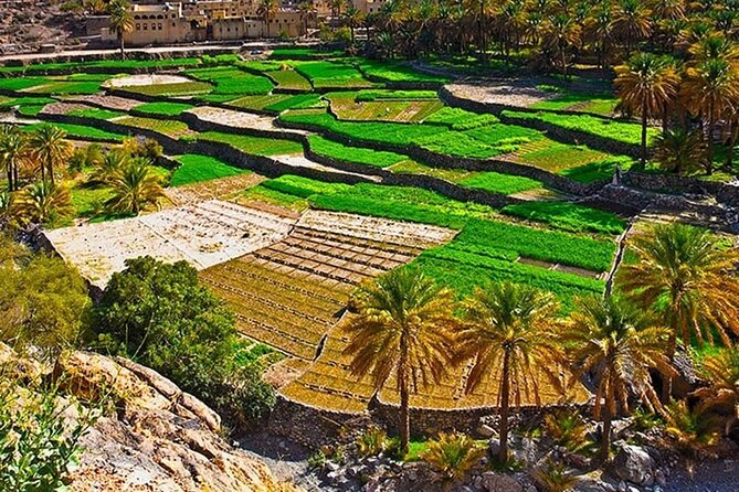 Nakhal Fort-Nakhal Hotspring-Wadi Bani Awf-Bilad Sayt - Private Full Day Tour - Weather Considerations