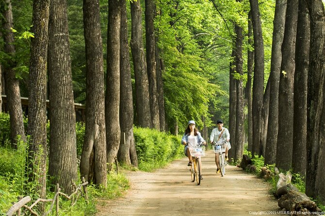 Nami Island Trip With Petite France & Italian Village and Gangchon Rail Bike - Reservation Process