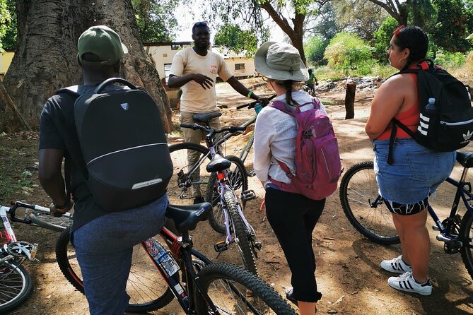Nature and Falls Tours - Customer Reviews