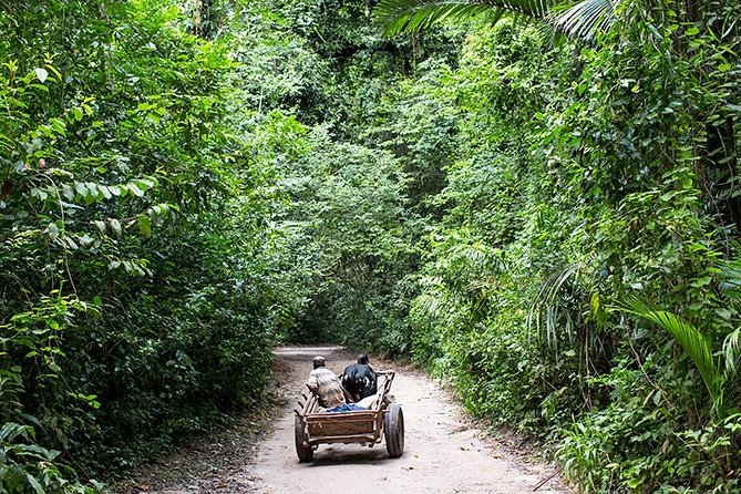 Ngezi Forest Tour - Meeting Points and Instructions