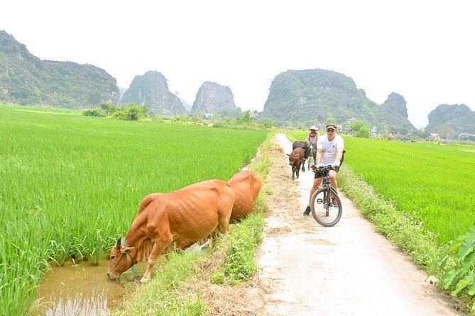 Ninh Binh Full-Day Small Group of 9 Guided Tour From Hanoi - Pickup Information