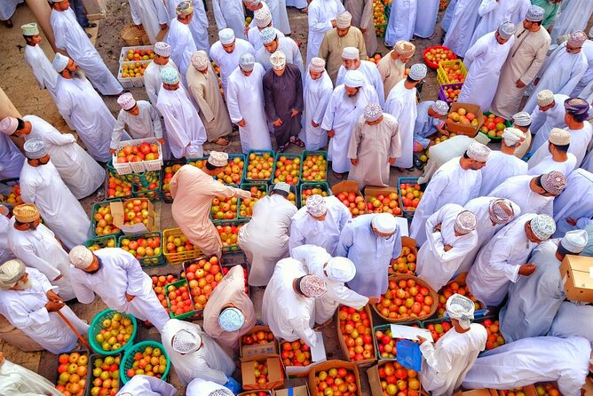 Nizwa- Al Hamra Old Village- Misfah Al Abryeen Full Day Tour - Tour Overview