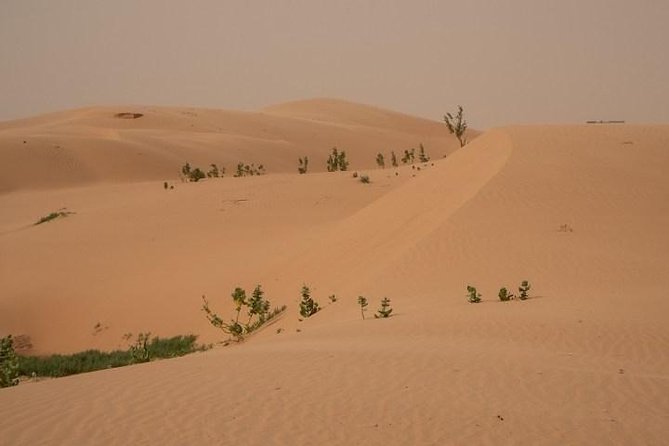 Nouakchott Explorer: Private Capital Tour - The Sum Up
