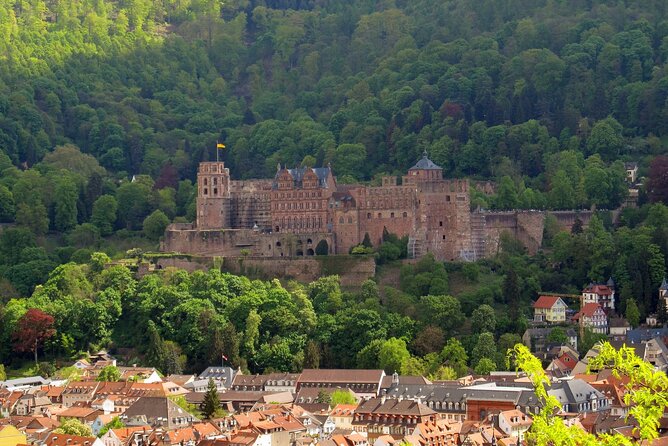 Old Town Private Historic Walking Tour in Heidelberg - What To Expect