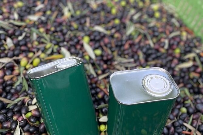 Olive Mill and Winery Experience at Castiglione in Teverina - Additional Details