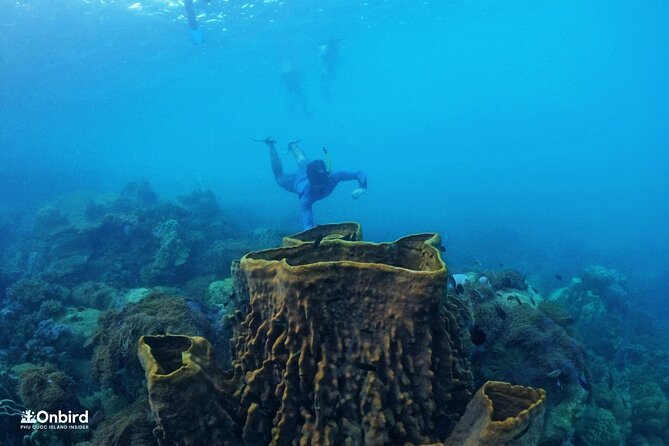 Onbird - PRIVATE ADVENTURE SNORKELING - Explore Half-Moon Reef & Coral Mountain - Customer Reviews