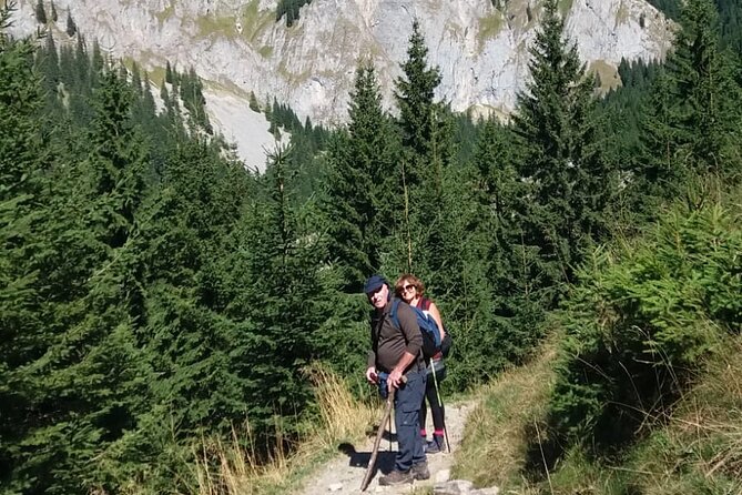 One Day Hiking in Bucegi Natural Park-Private Day Tour From Brasov - Pricing Information