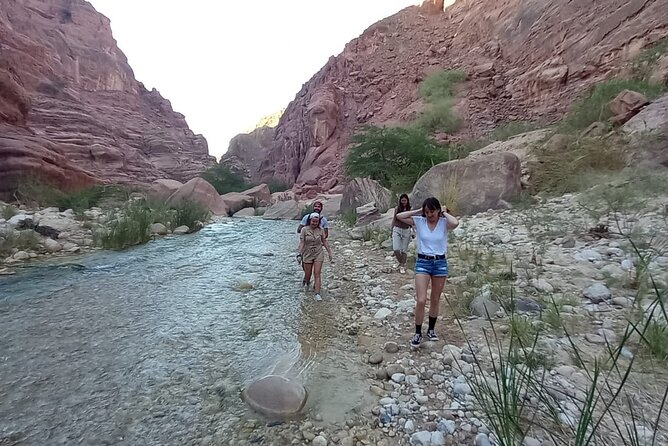One Day Hiking Wadi Al Hasa Canyon - Customer Reviews and Testimonials