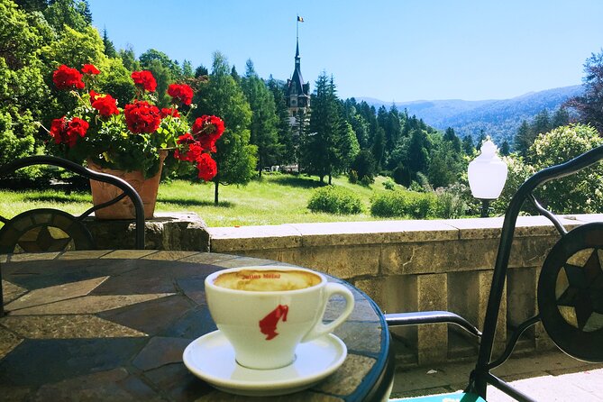 One Day to Dracula & Peles Castle From Bucharest - Pricing