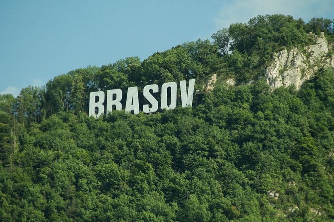 One Day Tour Dracula Castle. Libearty Bear Sanctuary. From Brasov - The Sum Up