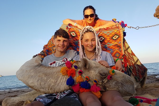 One Hour Camel Ride at Amazing Marsa Alam Desert With Transfer - Marsa Alam - Meeting and Pickup
