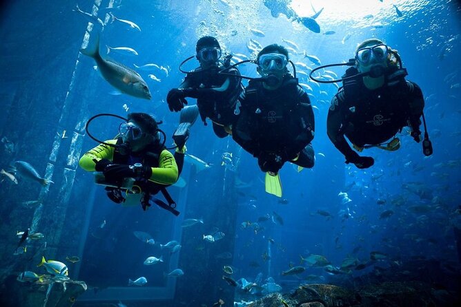 Orange Island Diving and Snorkeling Experience From Hurghada - Good To Know