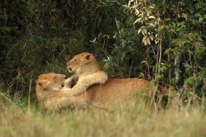 Overnight Tour to Tsavo East National Park From Mombasa - Frequently Asked Questions