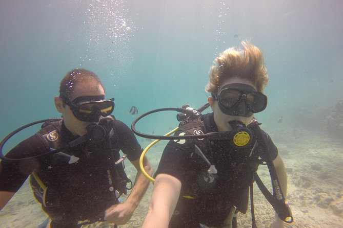 Padi Open Water Diver Course - The Sum Up