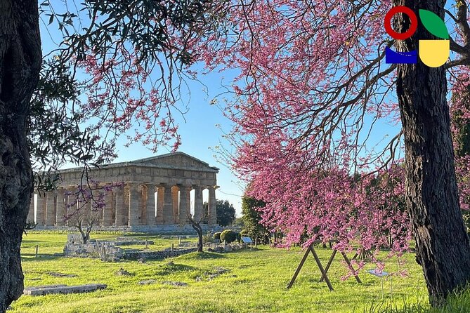 Paestum Orientation Tour - The Sum Up