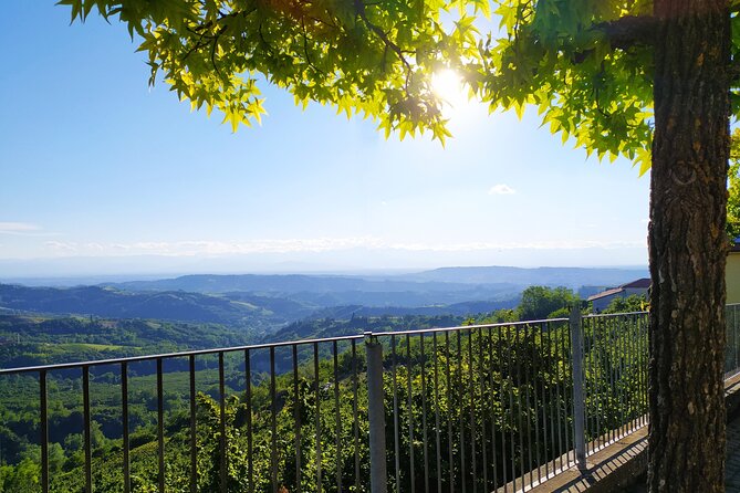 Panoramic Sightseeing Tour With Aperitif - Additional Tour Information