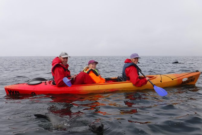Pelican Point Kayaking Half-Day Tour - Directions